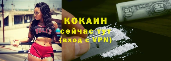 тгк Алзамай