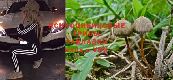 каннабис Алексин