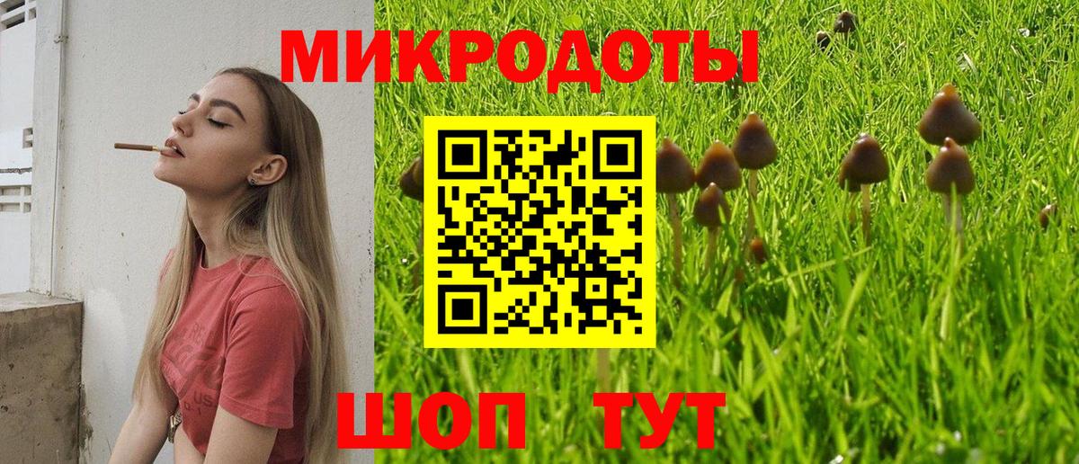 Псилоцибиновые грибы Psilocybine cubensis Старый Оскол