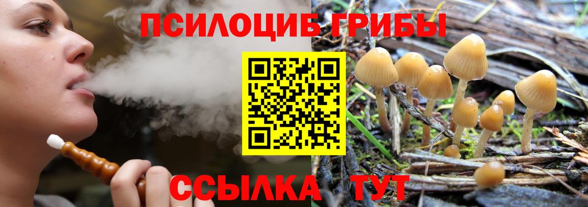 Старый Оскол  Псилоцибиновые грибы Psilocybe  Вход с VPN 