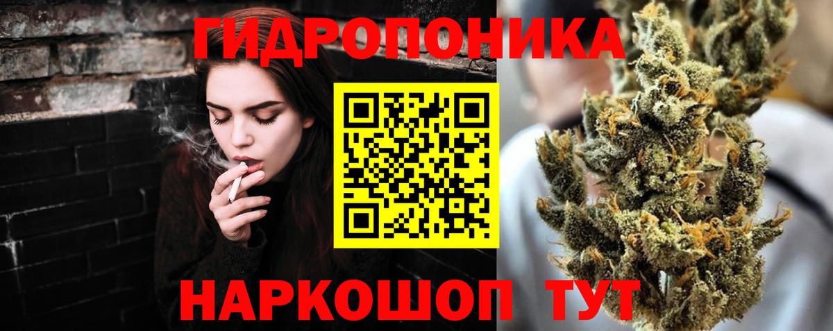 Шишки марихуана план  Шишки марихуана Bruce Banner  Канабис марихуана  Вход с VPN  Старый Оскол 